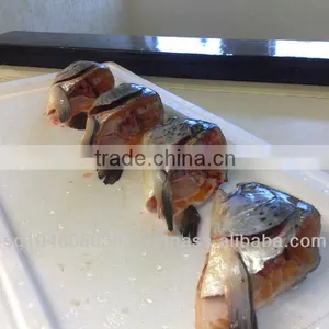 ATLANTIC SALMON HEADS thumbnail-5