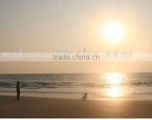 CHINA TO SOUTH SHIELDS(ocean Freight Service for LCL and FCL)---KELLY thumbnail-1