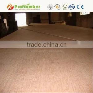 Fire Rated Plywood / Fire Retardant Plywood Prices thumbnail-4