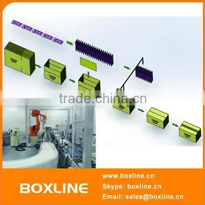Soft Bags Packing / Serial Robot Production Line thumbnail-1