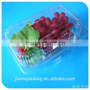 2015 Wholesale Factory Palstic Tray for Food thumbnail-3