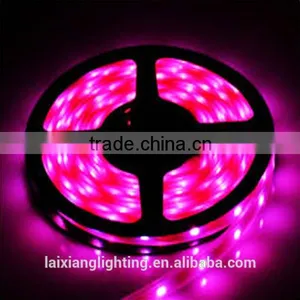 Waterproof Strip 60leds/m 5050 SMD High Quality Led Strip Light for House Decoration thumbnail-5