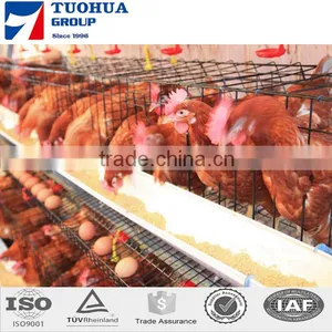 Chicken Egg Layer Cages,layer Poultry Cages thumbnail-1