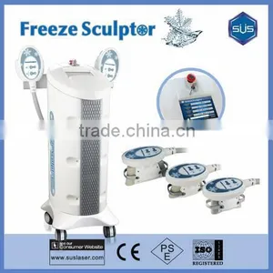 Top Sale 2016 Non-invasive Cryolipolyse Minceur Machine For Fat Cellulite thumbnail-1