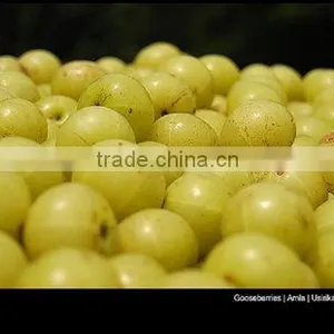 Fresh Indian Goosebery thumbnail-1