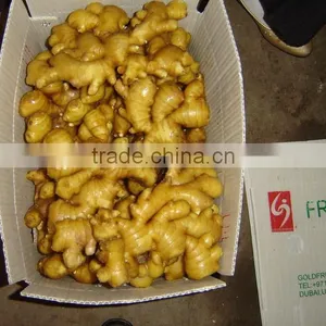 Fresh Ginger thumbnail-1