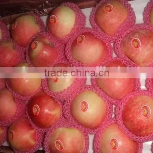 Chinese Red Star Apple thumbnail-1