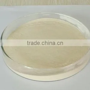 Chile Imported 100% Natural Fresh Avocado Fruit Extract Powder thumbnail-3