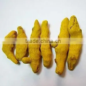 Turmeric Finger thumbnail-1