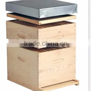 Dadant Beehive/ Langstroth Beehive / British Beehive thumbnail-4