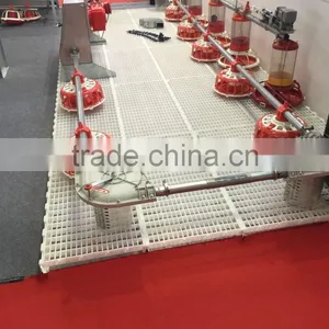 Automatic Poultry Feeder /poultry Feeding System/chicken Farm Feeder thumbnail-2