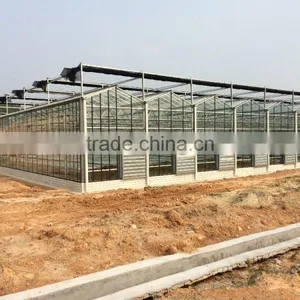 The Sunlight Greenhouse Glass for Sale thumbnail-1