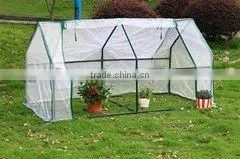 PE Greenhouse GHS002W thumbnail-1
