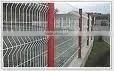 Factory Pvc Coated Welded Wire Mesh Fence thumbnail-1