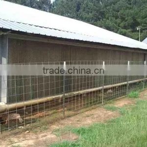 Design Modern Automatic Poultry China Equipment Chicken Farm thumbnail-2