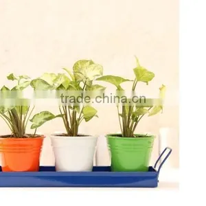 Indian Planters Large Outdoor Garden | Metal Planter thumbnail-1