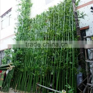 CHY030815 Artificial Bamboo/lucky Bamboo/fake Bamboo Poles thumbnail-1
