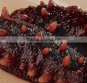 Sea Cucumber From Hokkaido Japan thumbnail-1
