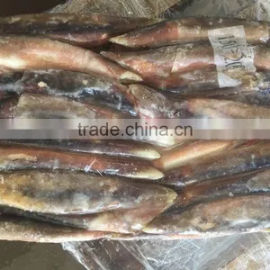150-200g Illex Argentinus Squid Frozen Squid thumbnail-5