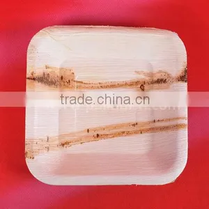 BIODEGRADABLE TABLEWARE thumbnail-5
