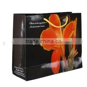 Paper Bags With Eye Catching Design Gift Bags thumbnail-1
