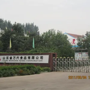 Laiwu Manhing Vegetables Fruits Corporation company overview - view 1 thumbnail