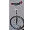 Unicycle thumbnail-1