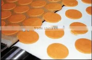 Biscuit/cookies/cracker/Cotton Biscuit Webbing/canvas Webbing thumbnail-1