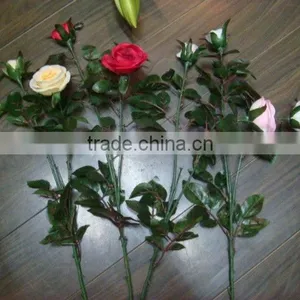 Flower thumbnail-1