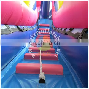 2017 Aier Nice and Cheap Giant Inflatable Slide for Sale/Princess Themed Inflatable Pool Slide/slide Inflatable thumbnail-5