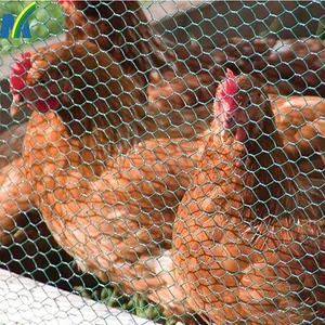 Chicken Wire Netting Hexagonal Wire Netting Poultry Mesh thumbnail-1