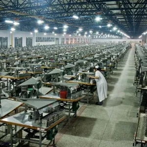 Shijiazhuang Daoya Trading Co., Ltd. company overview - view 2 thumbnail