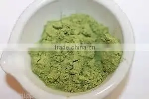 Organic Certified Wheat Grass Powder for Bulk Supply thumbnail-1