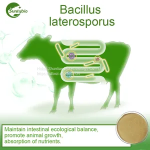 Bacillus Laterosporus thumbnail-3