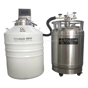 Small Vapor Phase Dewar Flask Liquid Nitrogen Container thumbnail-5