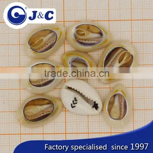 2015 Fashion OEM Cowries Shell Button thumbnail-2