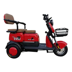 Qualified Ecc Coc 3 Wheel Mini Electric Cars for Adult thumbnail-2