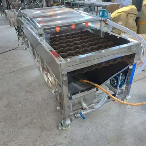 Green Lime Fruit Sorting Grading Machine Sorter Grader Machine Line Classifying Machines thumbnail-4