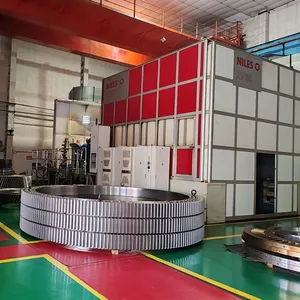 Rotary Kiln Girth Gear for Cement Production Line, 2.5m Diameter, 20-Year Service Life thumbnail-1