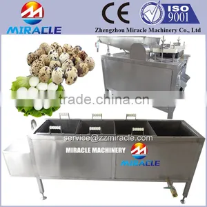 500kg per Hour Machine for Quail Egg Boiler/peeler/sheller Quail Eggs Process Machines thumbnail-1