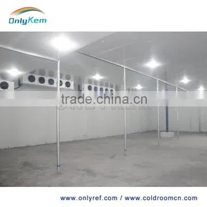 Cold Storage Deep Freezer for Seafood, Green House Mobile Freezer Prices thumbnail-2