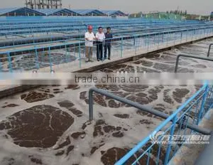 Bacteria Formula for Waste Water Denitrification Treatment thumbnail-3