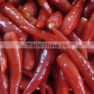 Frozen Small Red Chili thumbnail-1