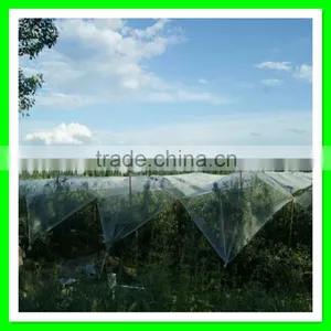 Supply High Quality Various Grape Hail Protection Net/resist Hail Mesh/woven Anti Hail Net thumbnail-3
