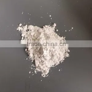 Diatomaceous Earth for Washing Liquid thumbnail-3