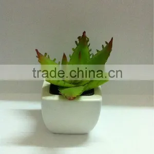 Artificial Bonsai Plants thumbnail-1