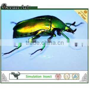 2014 New Products Palyground Insects thumbnail-1