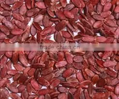 Supply Melon Seeds , Good Quality Red Watermelon Seeds Kernels for Sale thumbnail-2