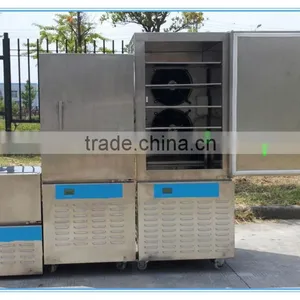 26 --1420 Liter Shock Freezer for Fish/ Meat thumbnail-1