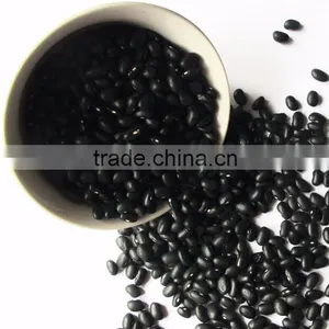 Dired China Bean for Sale in for Black Bean for Sale thumbnail-2